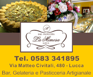 Bar - Pasticceria La Mimosa - Via Civitali 480 - Lucca - Tel. 0583341895